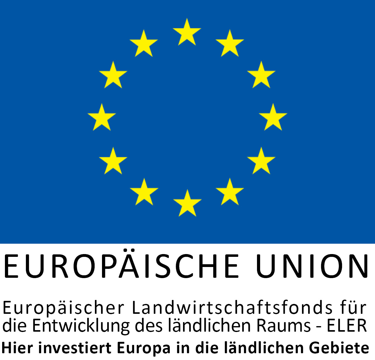 Logo EU mit Text Hier innvestiert