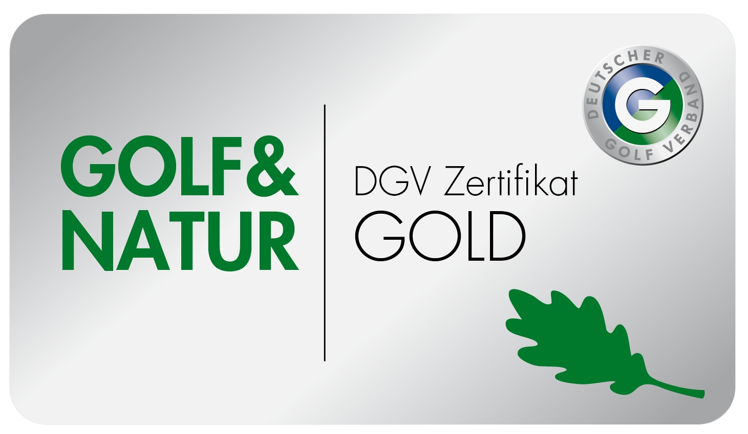 DGV Logo quer gold oS